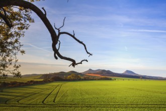 The morning in Central Bohemian Highlands, Czech Republic. Central Bohemian Uplands is a mountain