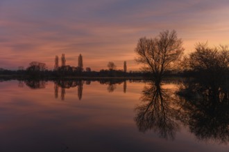 Trees reflecting in the water at sunset. Winter landscape red and orange sky. Bas-Rhin, Alsace,