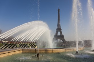 Trocadero gardens and Eiffel tower, Paris, Ile-de-france, France, Europe