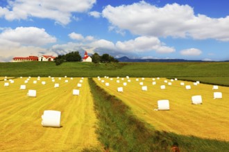 Rural pastoral after harvesting. Big field with haystacks. The farm and different economic