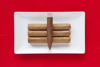 White ceramic dish with luxury Cuban cigars on over red background, rectangle dish