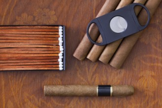 Different cigars on the decorative wooden table