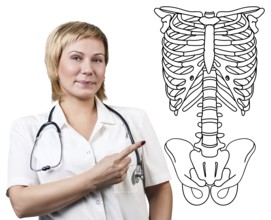 Medical doctor woman pointing on drawing human skeleton, isolated on white