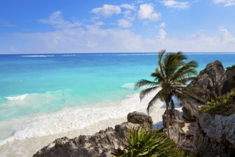 Tulum turquoise beach palm tree in Riviera Maya at Mayan Mexico