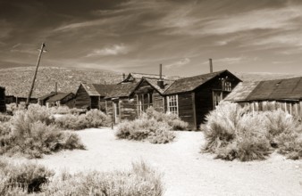 A dusty path between thorny undergrowth leads to poor wooden houses and crooked lamp posts in the
