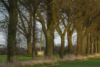 A stone cross stands along a tree-lined avenue in the morning light, Weseke, Borken, Münsterland,