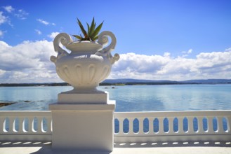 La Toja island Toxa beach flower pot in Pontevedra Galicia Spain