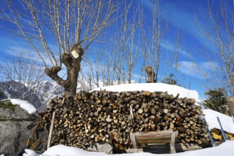 Firewood stacked under snow in Pyrenees of Huesca Spain