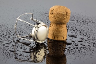 Champagne cork and agraffe, symbolic photo for celebrations, enjoyment and alcohol consumption
