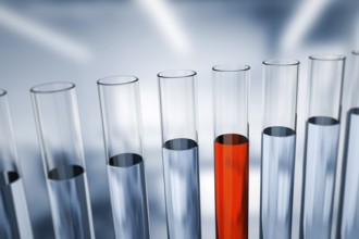 An image of some test tubes in the laboratory