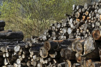 Log pile, log pile