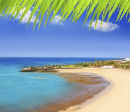 Arrecife Lanzarote Playa del Reducto beach aerial view in Canary Islands