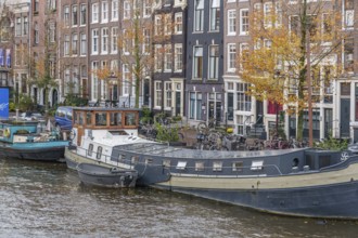 Houseboats along a city canal with tall traditional houses in the background, Amsterdam,