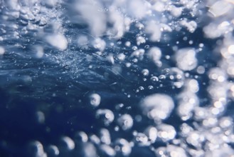 Abstract Bubbles in Water, Air Bubbles Water Background