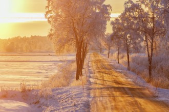 Country road in sunset light in a winter landscape