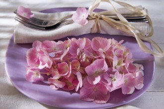 Using the hydrangea flower for the preparation of the table