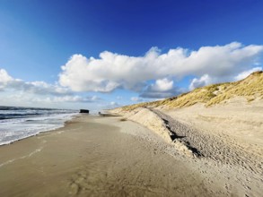 Sandy beach beach on the Danish North Sea