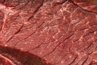 Beef steak meat close up studio shot