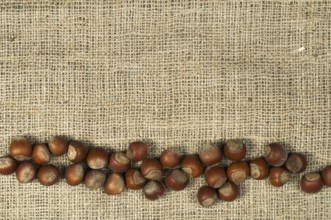 Closeup hazelnuts on burlap. Arranged as border
