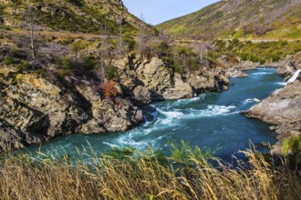 New Zealand. Magnificent mountainous rapid river with melted glacial water and steep banks. Scenic