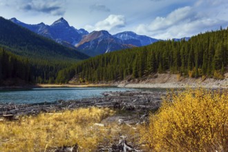 The Canadian Rockies. Shallow lake in the mountains covered with evergreen forest. Bright autumn