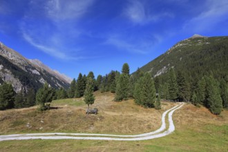 Valley in the mountains of Austria. Sunny autumn day. The dirt path winds between yellowed fields