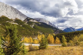 Rain clouds cover the sky. Orange and yellow leaves of aspens and birches adorn the mountains. Road