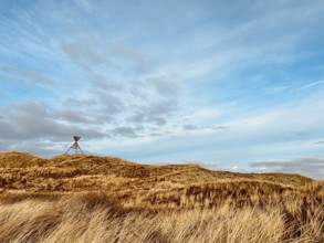 Danish dune landscape on the North Sea coast