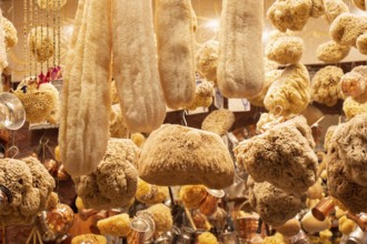 Collection of natural marine sea sponges for spa and Wellness on a market stall