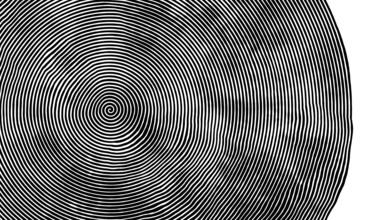 An illustration of a black and white swirl background banner
