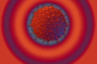 Covid-19 Novel Coronavirus Bacteria. No Infection and Stop Coronavirus Concepts