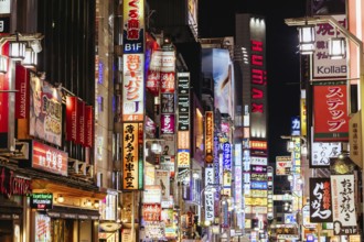 TOKYO, JAPAN - MAY 12, 2019: Neon signs illuminate Tokyo's busy Shinjuku neighborhood at night