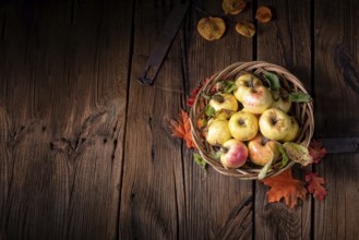 Frische und leckere bio-äpfel in einem korb