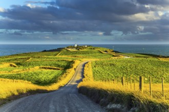 Southern Scenic Route. South Island of New Zealand. Incredible orange sunset over green fields.