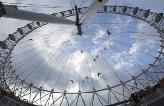 London, LONDON EYE Ferris wheel View of the sky