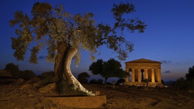 Italy, Sicily, Agrigento, Temple of Concordia by night, Temple of Concordia, Greek antiquity,