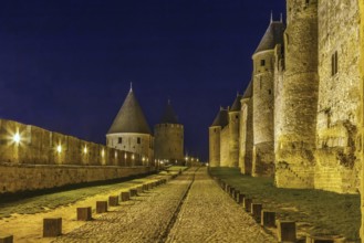Cite de Carcassonne is a medieval citadel located in the French city of Carcassonne. Towers and wal