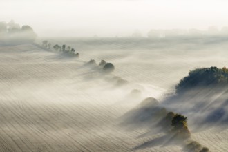 Morning fog on a new harvested field