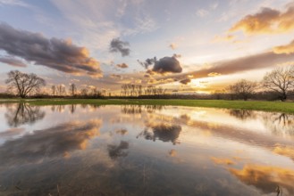 Sky of pink and orange clouds reflecting in a flooded meadow in the evening. Alsace, France, Europe