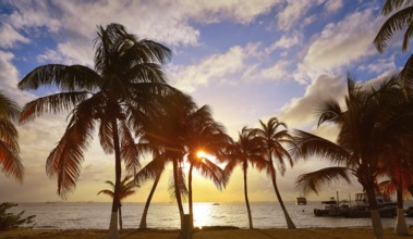 Isla Mujeres island Caribbean beach sunset palm trees Riviera Maya in Mexico