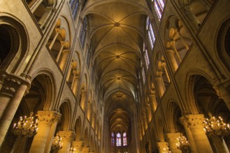 Cathedral Notre-Dame de Paris, interior view