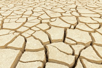 Dry soil in Israel, Middle East, parched soil, cracks Israel
