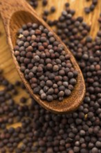 Brown mustard seeds