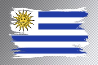 Uruguay flag brush stroke, national flag on transparent background
