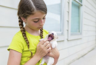 Girl playing with puppy chihuahua pet dog outdoor