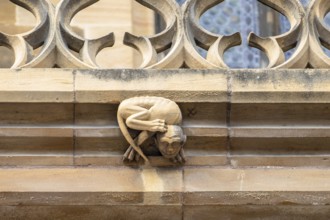 An image of a detail of Saint Theobald's Church, Thann