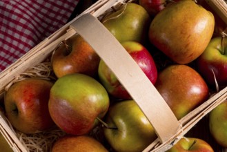 Autumn Apple