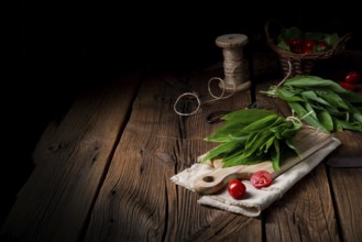 Allium ursinum fresh wild garlic with many valuable vitamins