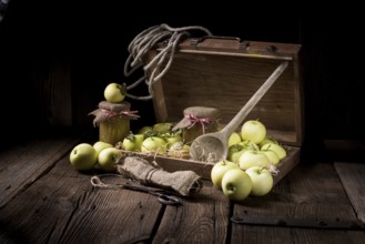 White transparent applesauce