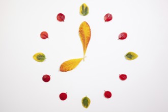 Autumn Time - Clock of autumn leafs
